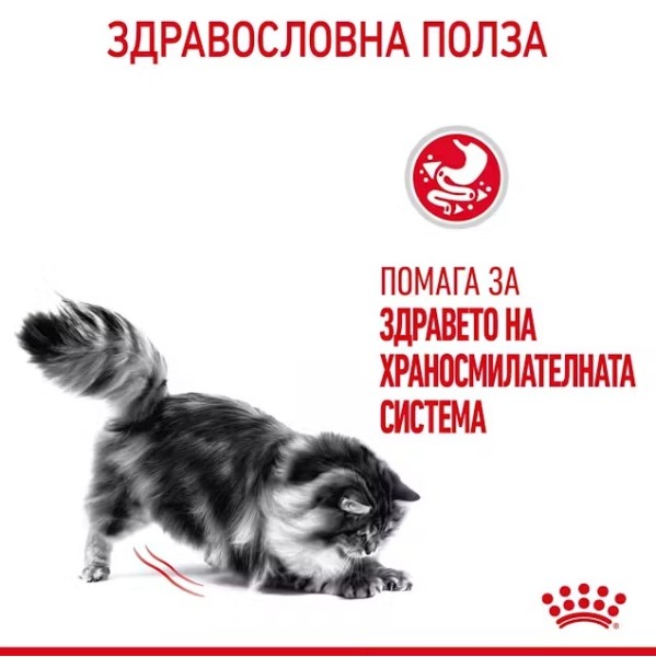 Royal Canin Cat Digestive Care - Пълноценна суха храна за котки за подпомагане на храносмилането